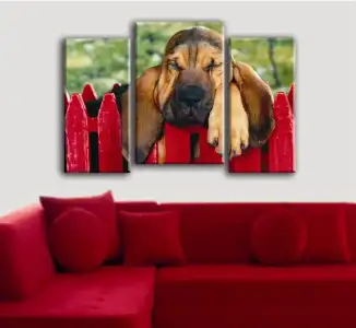 $sembol_tablo (27).webp