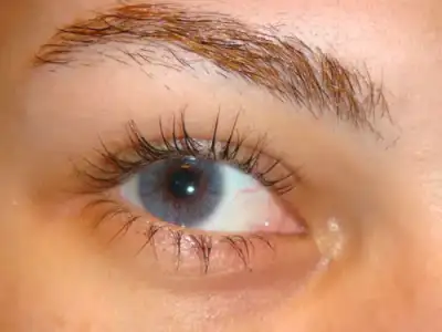 $solotica-hidrocore-grafite-colored-contact-lenses-ec4f8.webp