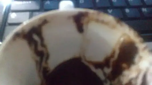 $18122012268.webp