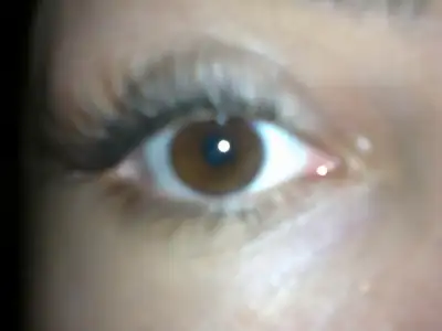 $19052011572.webp