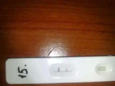 $19122012107.webp