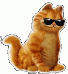 $anigarfielddancingcooltnt14me.gif