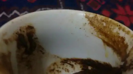 $19122012299.webp