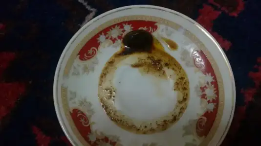 $19122012314.webp