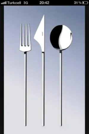 $gÃ¼nlÃ¼k Ã§atal kaÃ¾Ã½k.webp