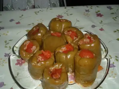 $biber dolmas&#305;.webp