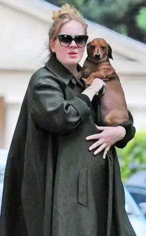 $reg_634.Adele.jlc.091012.webp