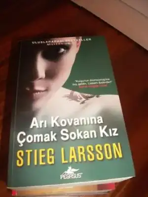 $stieg larsson ar&#305; kovan&#305;na &#231;omak sokan k&#305;z.webp