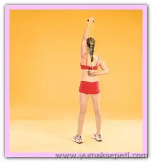 $kol_egzersiz_fitness_06.webp $kol_egzersiz_fitness_06.webp