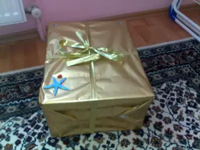 $26122012210.webp