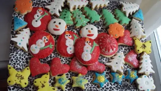 $DSC04246 (800x451).webp