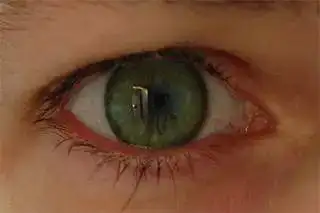 $olivegreen.webp