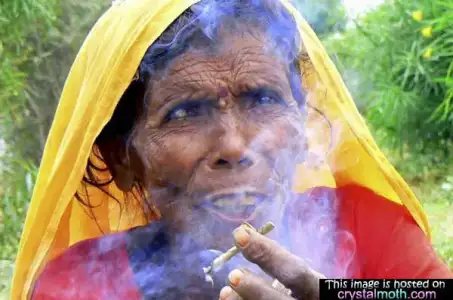 $funny_picture_old_indian_woman_smoking_the_reefer.webp