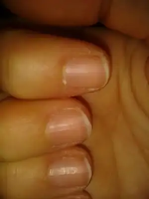 $2013-01-02 23.44.04.webp