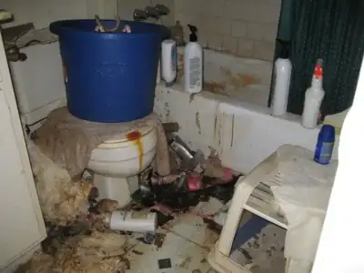 $Disgusting_Apartment_9.webp