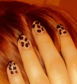 $DSC07319 - Kopya.webp