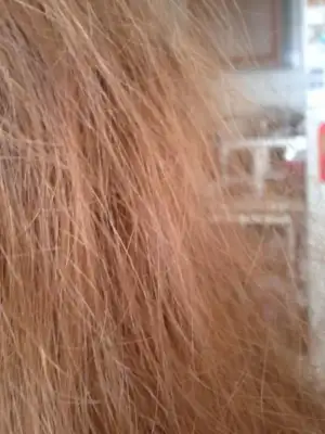 $FURKAN.EMİRHAN 297.webp