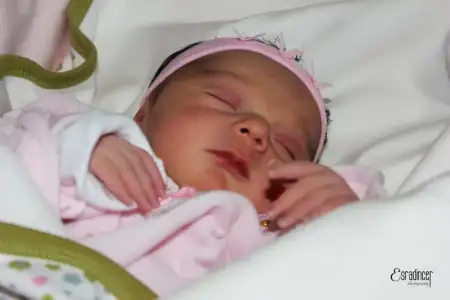 $423304_391220257631405_1072226596_n.webp $423304_391220257631405_1072226596_n.webp