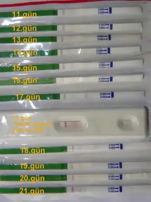 $DSCN5545.webp