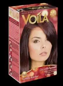 $Voila-4.16.webp