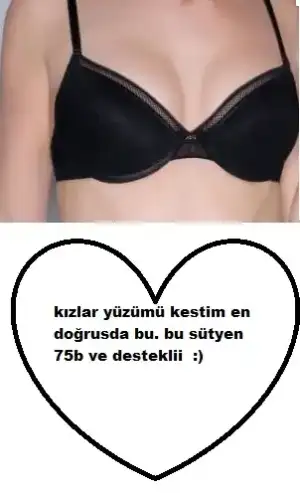 $B_62629329.webp