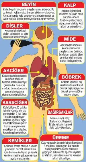 $kola_insan_sagligi.webp $kola_insan_sagligi.webp