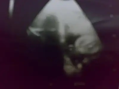 $100120133335.webp