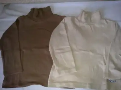 $12012013249.webp