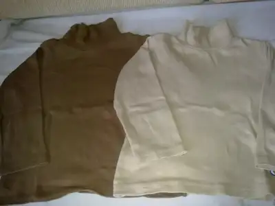 $12012013250.webp