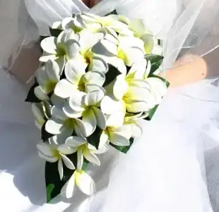 $yapan_2013_buket (10).webp