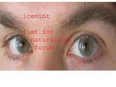 $icemint.webp