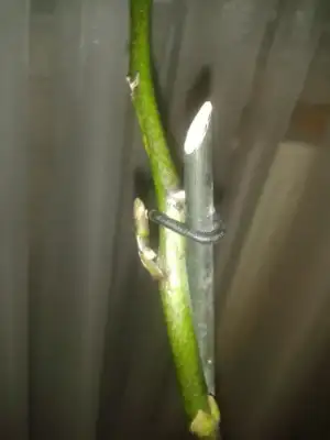 $2013-01-13 00.55.01.webp