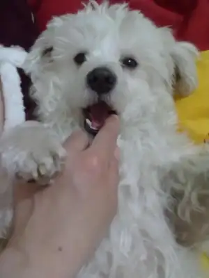 $23042012006.webp