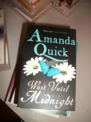 $amanda quick wait until midnight.webp