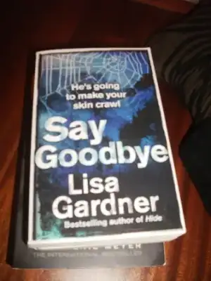 $lisa gardner say goodbye.webp