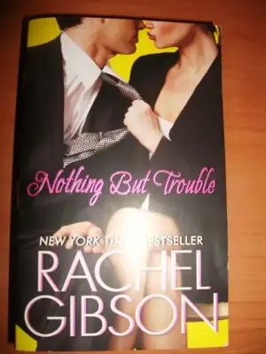 $rachel gibson nothing but trouble.webp
