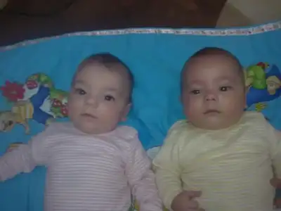 $23112010469.webp