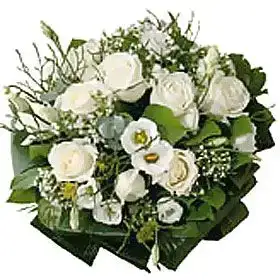 $1520.webp