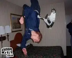 $KedininUcanTekmesi.webp