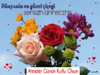 $2013_anneler_gunu (2).webp