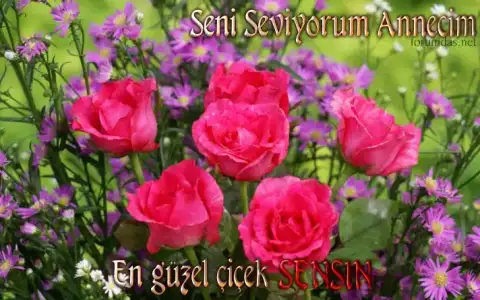 $2013_anneler_gunu (4).webp