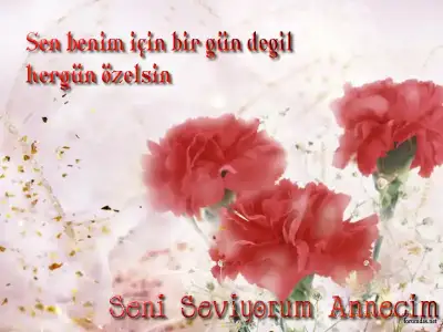 $2013_anneler_gunu (7).webp