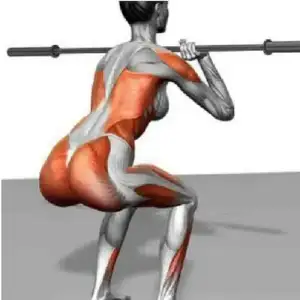 $squat w.webp $squat w.webp