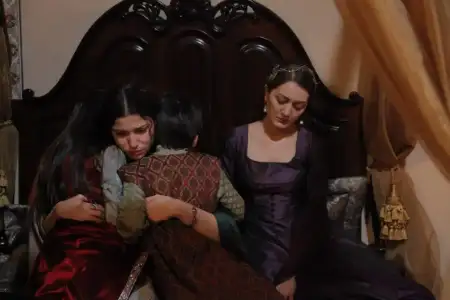 $601245_505479926171193_82856691_n (1).webp