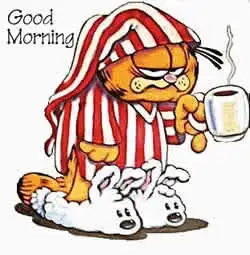 $garfield-uyku.webp