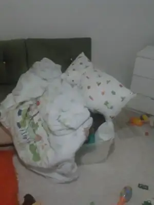 $2013-01-20 16.54.03.webp