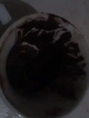 $25012013018.webp