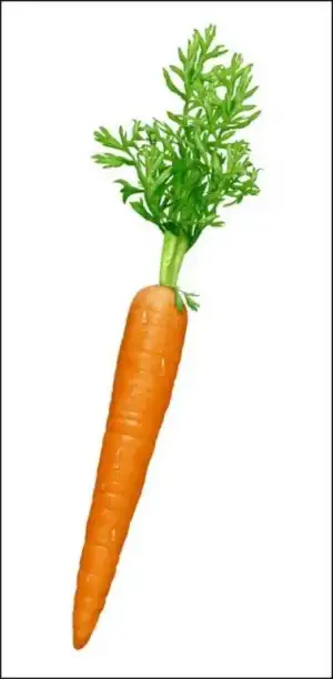 $carrot5b15d.webp $carrot5b15d.webp