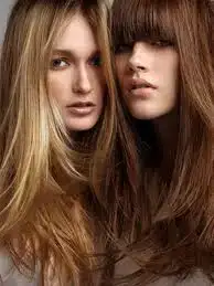 $imagesCA0BOSRY.webp