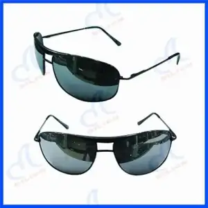 $Good_Price_2011_Sunglasses.webp